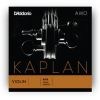 kaplan_amo_violin