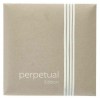 perpetualedition_cello