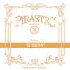 piastro_chorda_violine