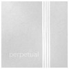 perpetual-(1)